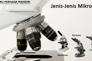 Jenis Jenis Mikroskop Yang Paling Sering Ditemukan Di Laboratory
