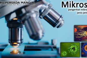 Mikroskop – Pengertian, Sejarah, Fungsi, Bagian, Jenis Mikroskop