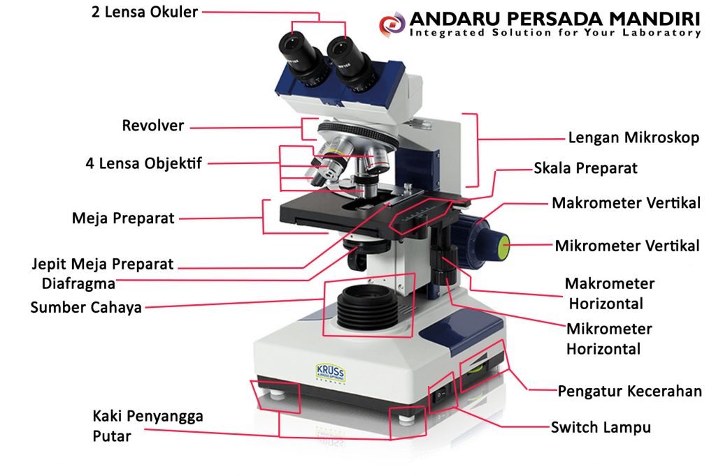 Gambar Mikroskop Lengkap Dengan Jenis dan Bagian