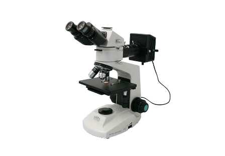 gambar-mikroskop-2