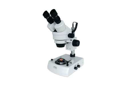 gambar-mikroskop-5