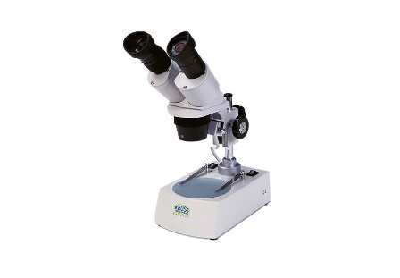 gambar-mikroskop-6