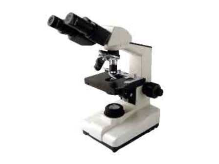 gambar-mikroskop-9