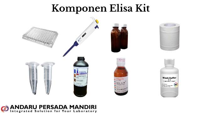 7-komponen-elisa-kit