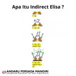 Indirect Elisa – Apa Itu Indirect Elisa?