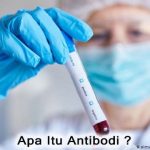Pengertian Antibodi – Apa Itu Antibodi?