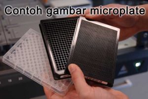 Microplate Reader – Mengetahui Fungsi Microplate Reader