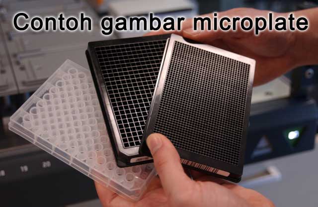 contoh gambar microplate