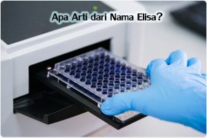 Apa Arti dari Nama ELISA?