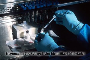 Kegunaan PCR- Alat Identifikasi Molekuler Pada Tanaman