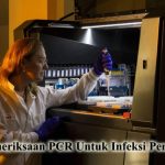 Pemeriksaan PCR Untuk Infeksi Virus HPV