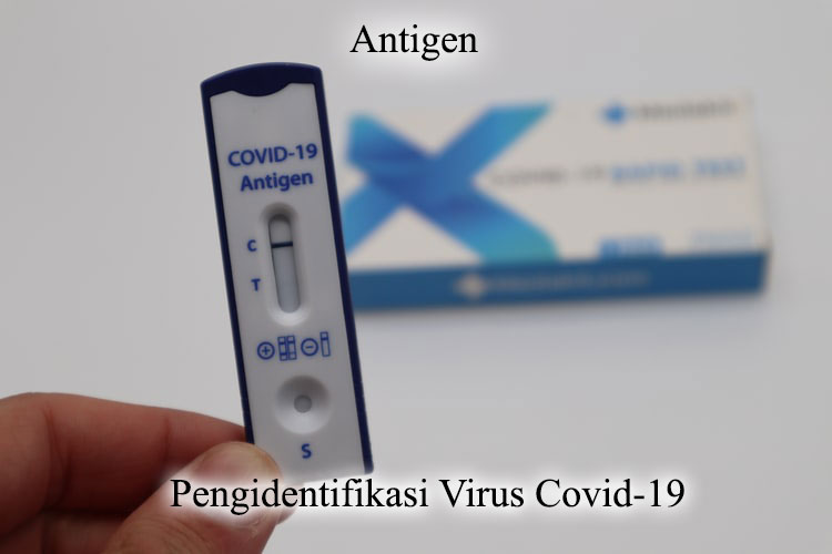 pengidentifikasi-virus-covid19