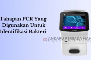 Tahapan PCR Yang Perlu Diketahui Mahasiswa