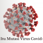 Apa Itu Mutasi Virus Covid-19?