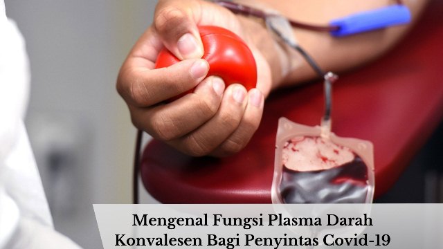 mengenal-plasma-darah-konvalesen