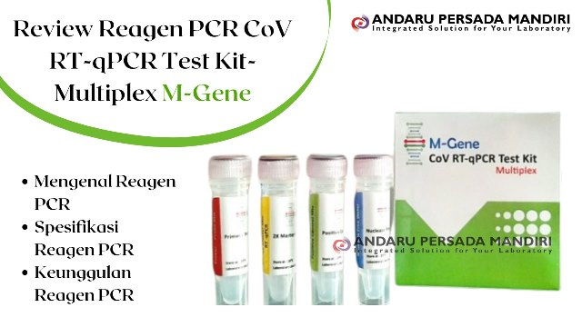 review-reagen-pcr-m-gene