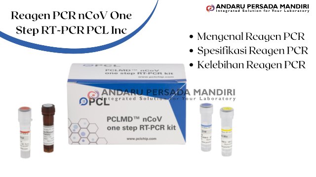 review-reagen-pcr-plc