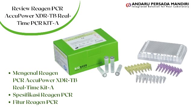 review-reagen-pcr-xdr