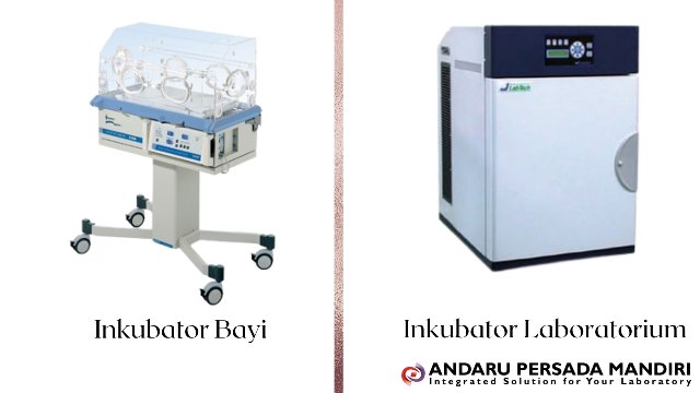 contoh perbedaan inkubator