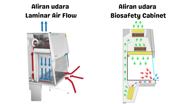 gamabr aliran udara laminar air flow dengan biosafety cabinet