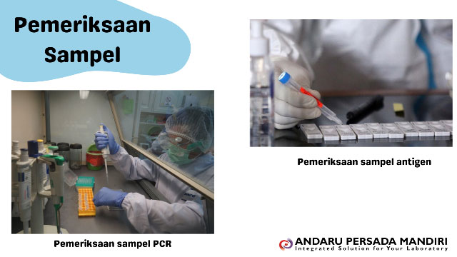 ilustrasi gambar pemeriksaan sampel antigen dan pcr