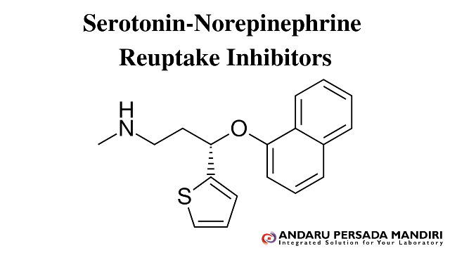 ilustrasi gambar Serotonin-Norepinephrine Reuptake Inhibitors