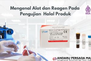 Mengenal Pengujian Halal Produk di Indonesia