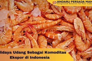 Budidaya Udang Sebagai Komoditas Ekspor di Indonesia