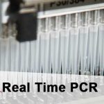 Real Time PCR – Mengenal Real Time PCR (RT-PCR, qPCR)