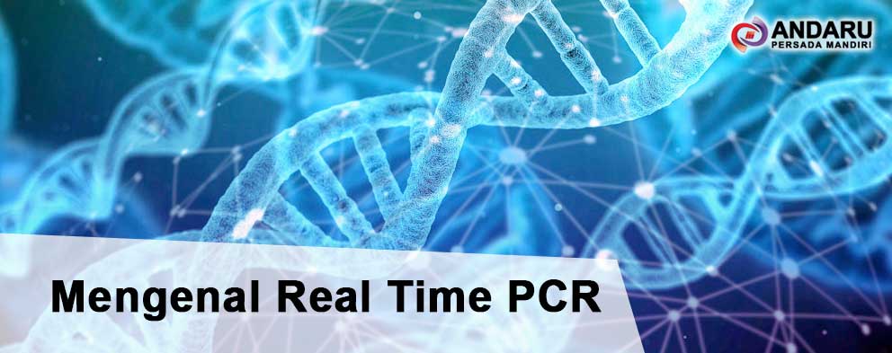 real-time-pcr-artikel-mengenal-real-time-pcr-rt-pcr-qpcr-distributor-alat-lab