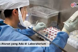 Apa Saja Aturan yang Ada di Laboratorium