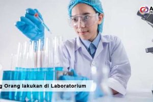 Apa yang Orang Lakukan di Laboratorium