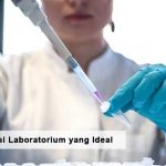 Bagaimana Kondisi Laboratorium yang Ideal