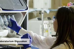 Kapan Laboratorium Digunakan