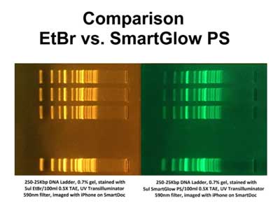 Alat Laboratorium SmartGlow DNA Stains