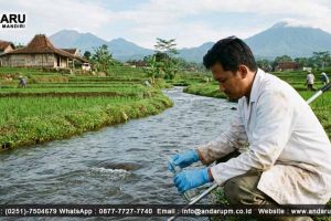 Apa itu Nitrit pada Air Sungai