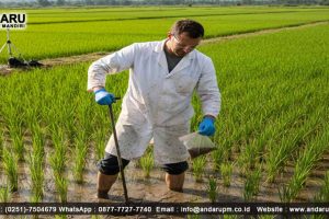 Apa itu Sulfat pada Tanah