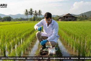 Apa itu C Organik pada Tanah