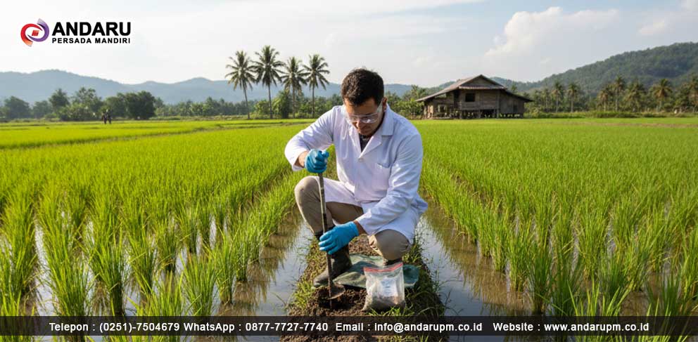 Pengambilan sample tanah untuk uji c organik Pengambilan sample tanah untuk uji c organik