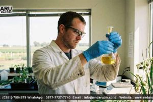 Pengujian C Organik pada Tanah dengan Spektrofotometer