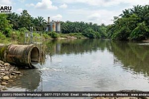 Senyawa Fenol dalam Air