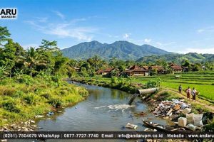 Apa itu Kation dalam Air Sungai