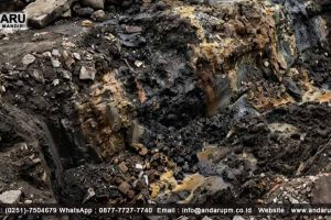 Logam (Pb, Hg, Cd, As, Cr, Ni) dalam Tanah