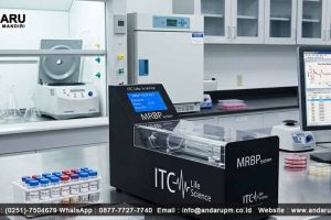 Pengujian Tekanan Darah dengan Mouse/Rat Blood Pressure